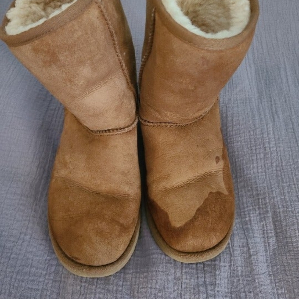 Uggs - image 6